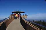 clingman's dome